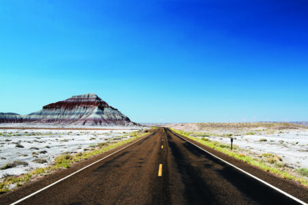 Petrified Forest National Park Image